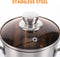 ChefMax Fryer Pan
