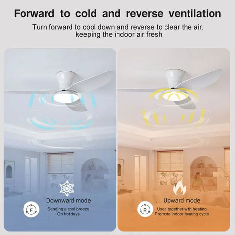 40inch AeroLuxe Lighted Ceiling Fan