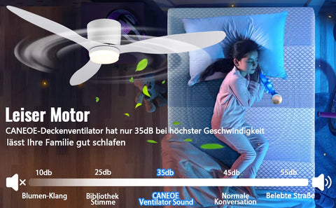 Modern Ceiling Fan with LED Light