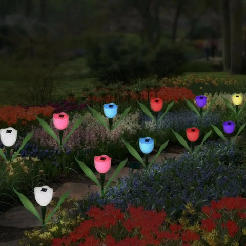 Solar Light Tulip