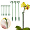 2/5/10pcs Plastic Plant Holder