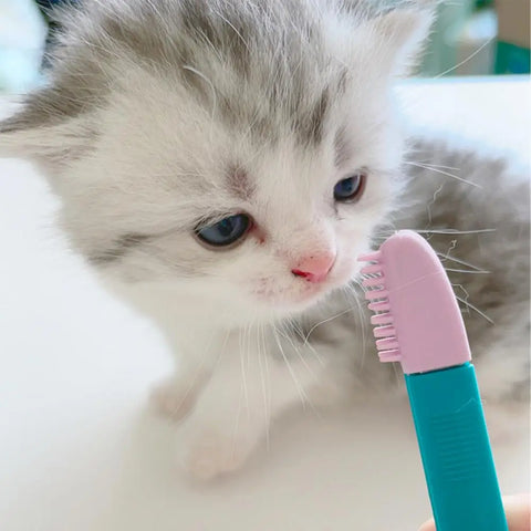 EcoKitty TearBrush