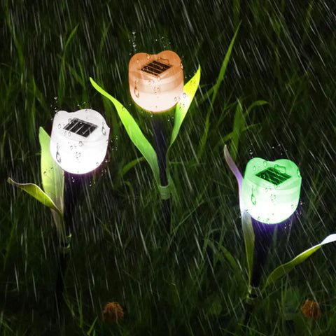 Solar Light Tulip