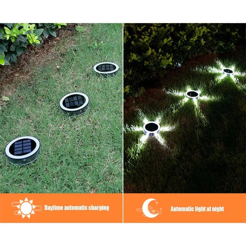 RayGuard Induction Light