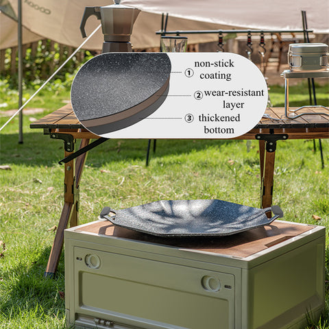 Non-Stick BBQ Grilling Pan