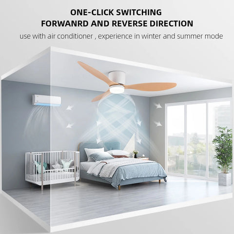 Modern Ceiling Fan with LED Light