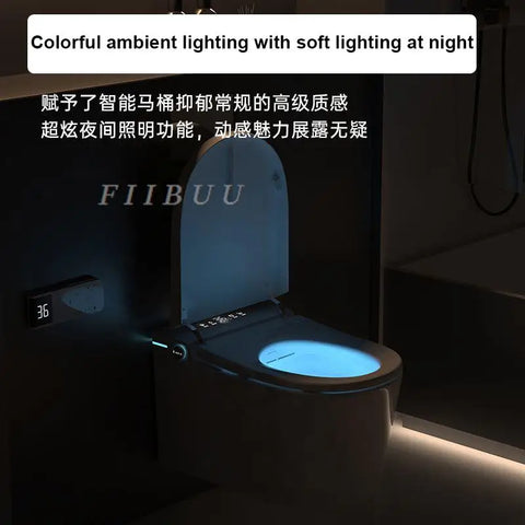 Luxury Smart Toilet