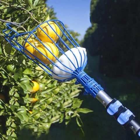 Fruit Picking Basket