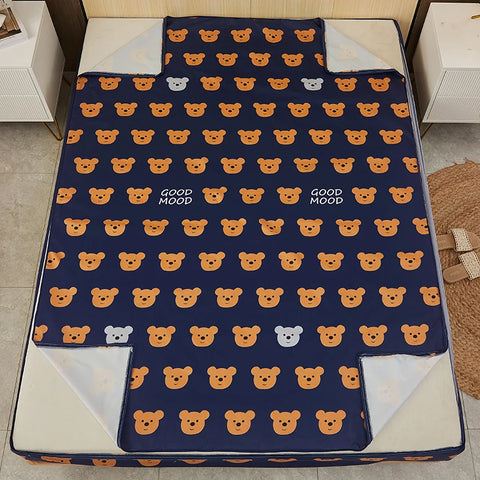 DryGuard Mattress Protector