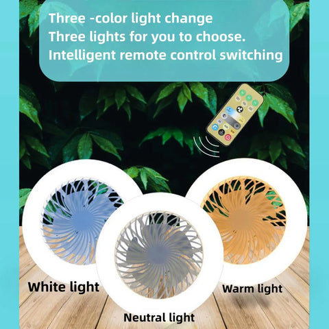 Ceiling Fan Lights
