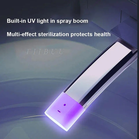 Luxury Smart Toilet