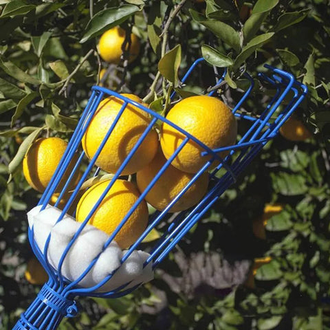 Fruit Picking Basket