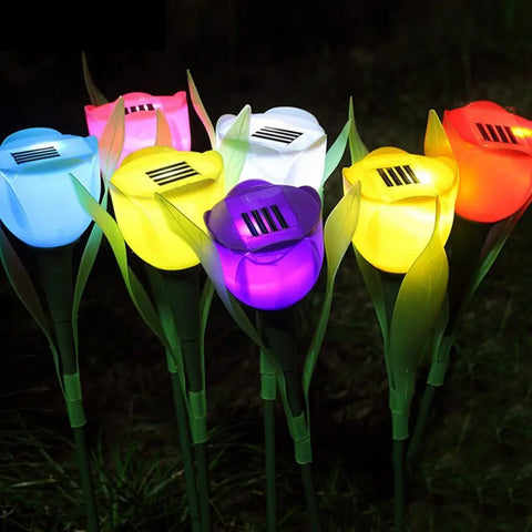 Solar Light Tulip