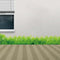 Green Grass Wall Sticker