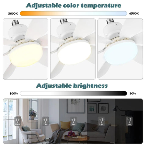 2-In-1 Ceiling Fan Lights