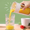 Portable Blender Fruit Mixer Cup