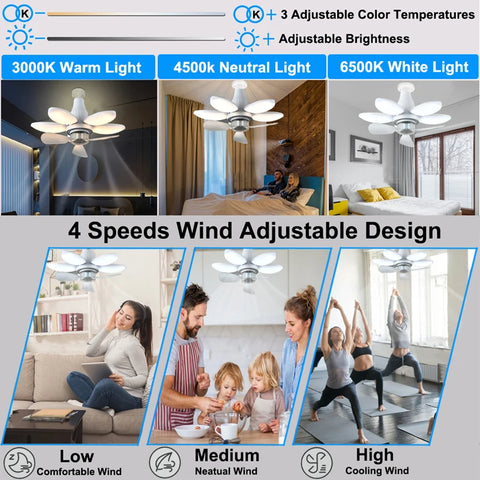 2-In-1 Ceiling Fan Light