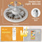 Ceiling Fan with LED Light