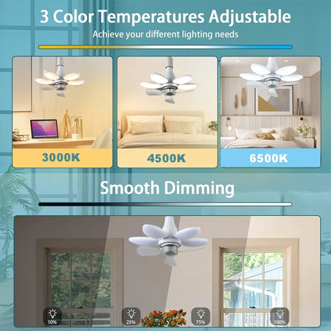 2-In-1 Ceiling Fan Light