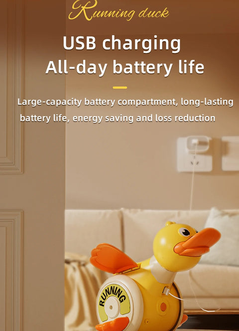Electric Duck Toy