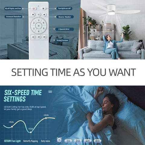 Modern Ceiling Fan with LED Light