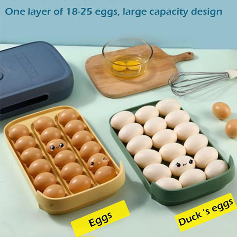 Egg Storage Box