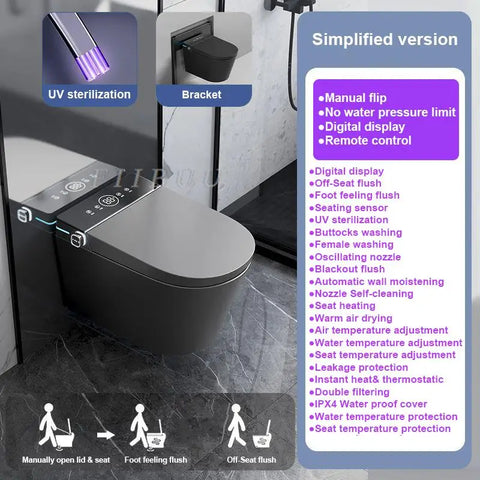 Luxury Smart Toilet