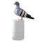Smart Soap Dispenser