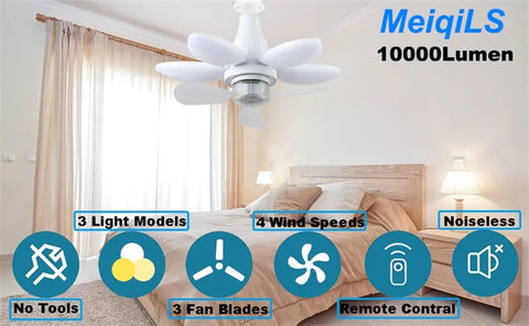 2-In-1 Ceiling Fan Light