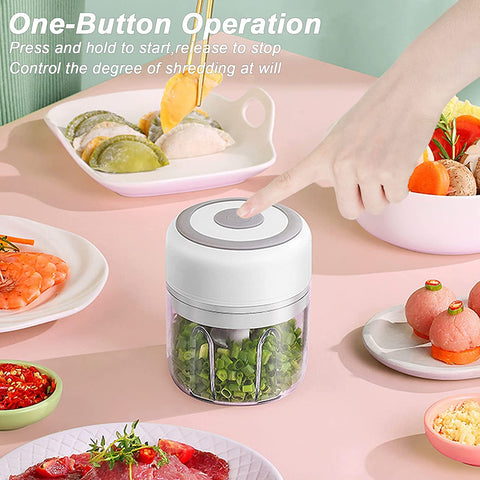 100/250mL Mini Electric Chopper