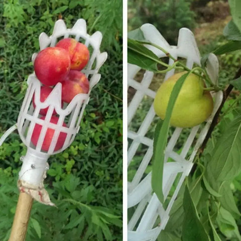Fruit Picker Basket