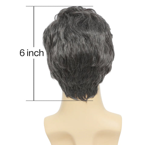 Natural Gray Hair Wig