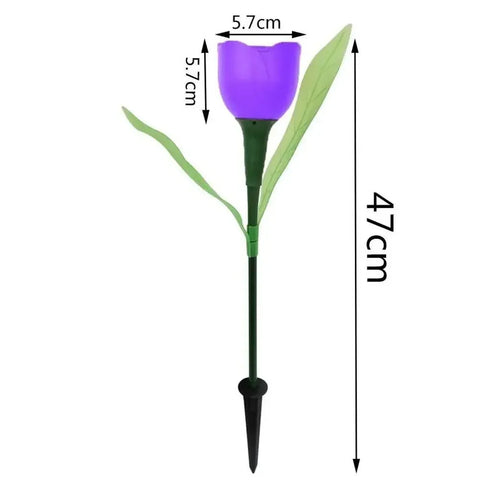 Solar Light Tulip