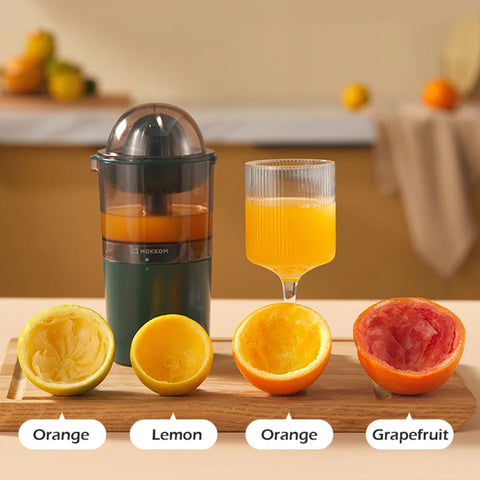 250ML Electric Juicer