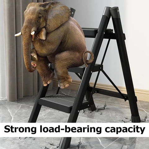 Folding Ladder