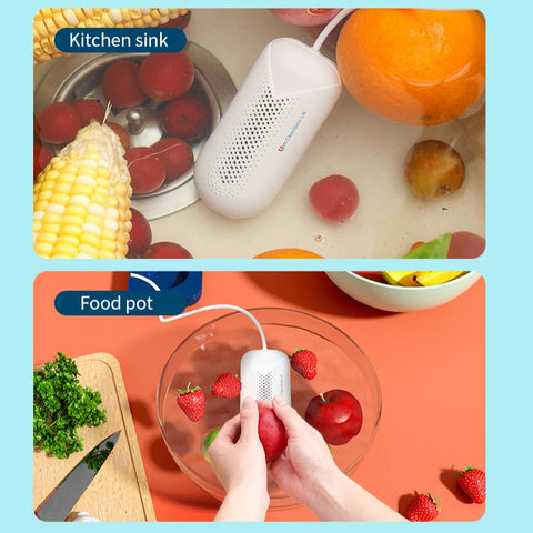 Portable Food Purifier Washer