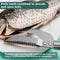 Stainless Steel Fish Scale Tool