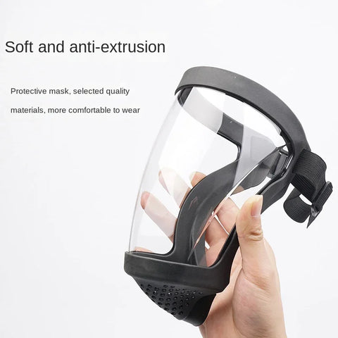 Facial Mask Protector