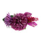 Wedding Flower Hair Comb Hairpin