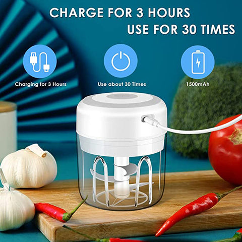 100/250mL Mini Electric Chopper