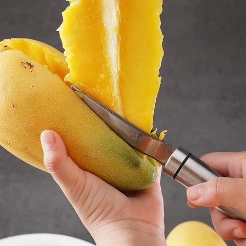 Mango Slicer