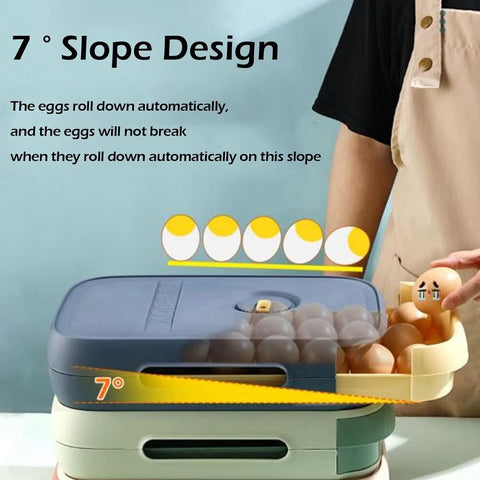 Egg Storage Box