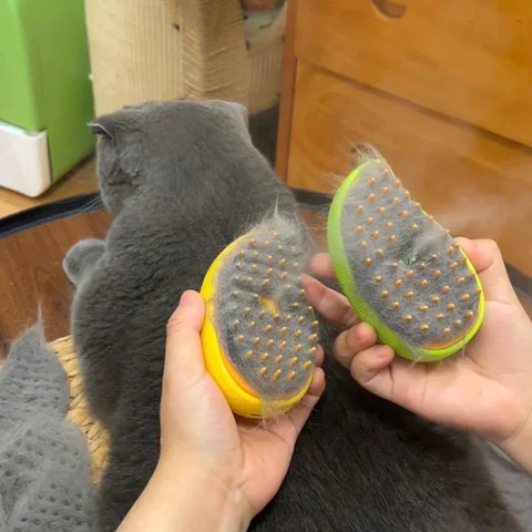 PawSpa Steam Comb