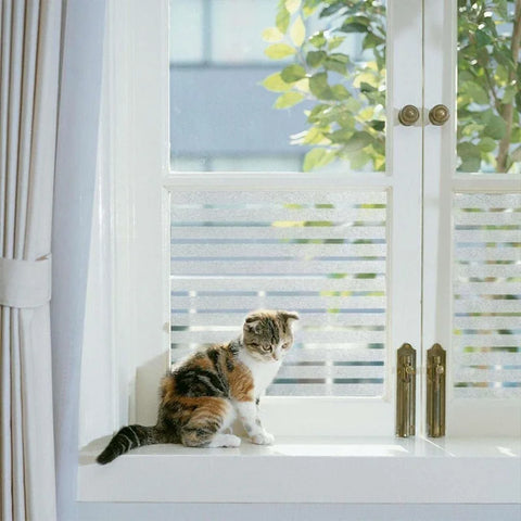 Privacy Window Film