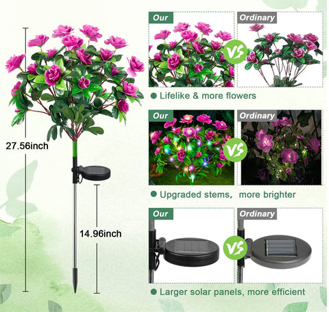 SunBlossom Outdoor Light