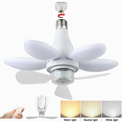 2-In-1 Ceiling Fan Light