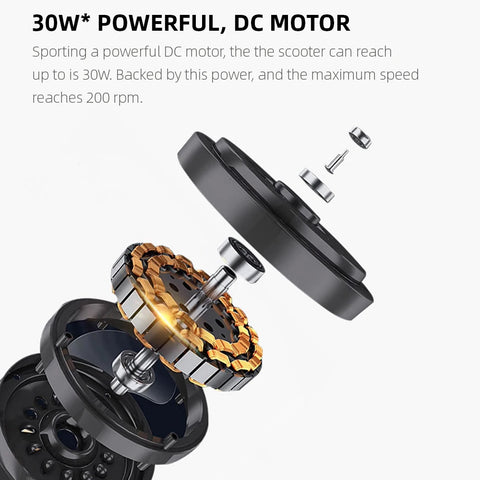 Modern Ceiling Fan with LED Light