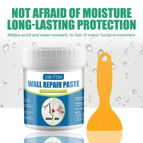 100g Wall Repair Agent