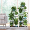 Plant Flower Pot Rack