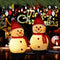 Snowman LED Garden Light